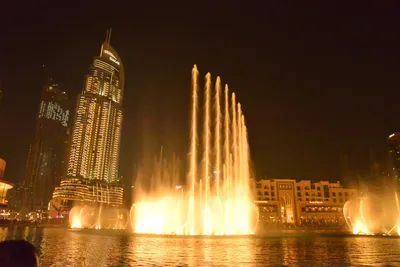 DSC_4157 (Large).JPG